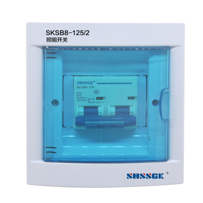 赛时工控(SHSSGK) SKSB8-125/2 照明开关 (单位:台)配色