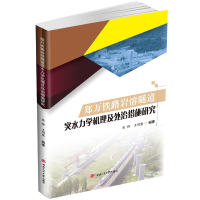 音像郑万铁路岩溶隧道突水力学机理及处治措施研究张桥,王明慧
