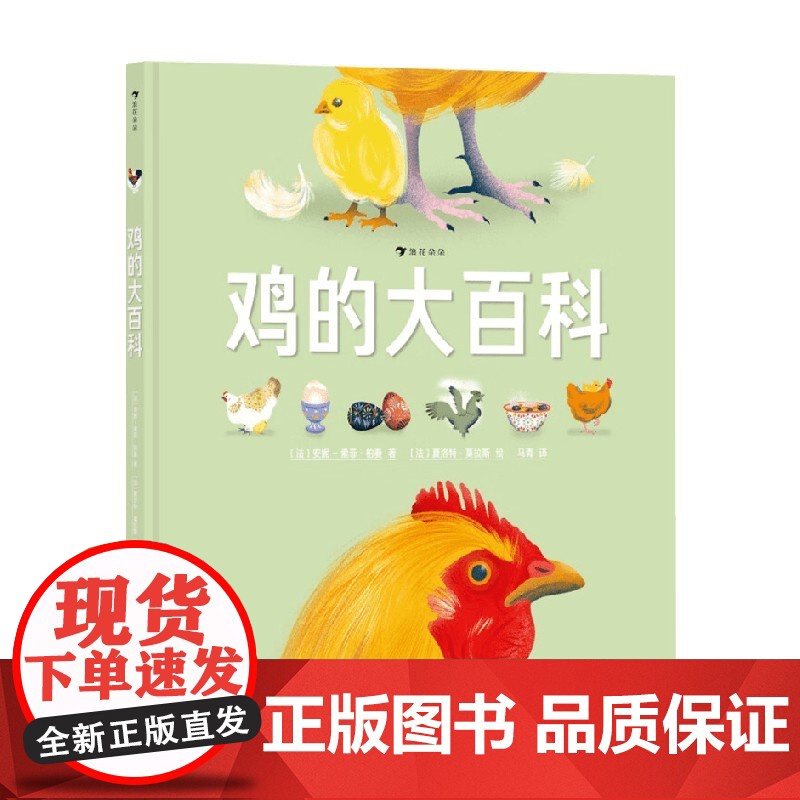 鸡的大百科 7-10岁 安妮索菲·柏曼 著 科普百科