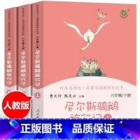 六年级下册 尼尔斯骑鹅旅行记 [正版]爱丽丝漫游奇境曹文轩人教版快乐读书吧六年级下册小学生课外书阅读书籍爱丽丝漫游奇境记
