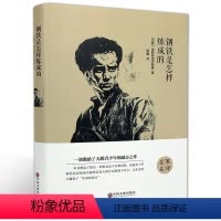 [正版]钢铁是怎样炼成的 尼·奥斯特洛夫斯基 名家名译 青少年初中生课外读物 世界经典文学名著长篇小说外国文学书