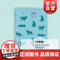 我是猫 译文40系列 夏目漱石著 文学作品 小说世界名著 人物传记 外国文学读物 猫眼看世界 辛辣讽刺 上海译文出版社