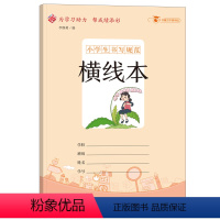 线本(10本装) 小学通用 [正版]小学生书写规范错题本小开本 读书笔记摘抄本摘记本用摘录阅读摘记记录本心得好词好句摘抄