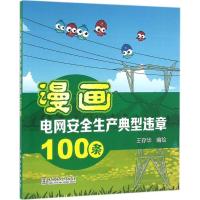 正版新书]漫画电网安全生产典型违章100条王存华9787512393646