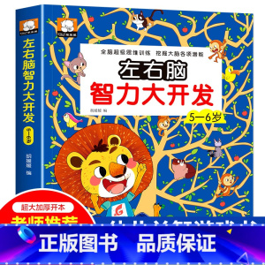[5~6岁]左右脑开发 [正版]幼儿左右脑开发智力潜能大开发 儿童1-2-3-4-5-6岁全脑思维逻辑专注力训练宝宝启蒙