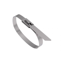 浪伍 304不锈钢扎带 19*2200mm(单位:根)