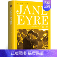 简爱 [正版]纯英文原版小说全套经典世界名著简爱傲慢与偏见月亮和六便士瓦尔登湖了不起的盖茨比英文版英语原著短篇书籍高中生