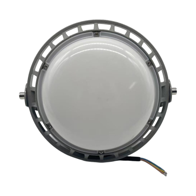 驰洛科 CLSF50-50DP 220V 50W IP65 三防灯 (计价单位:个) 银灰色