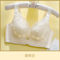 浪莎蕾丝内衣女无钢圈小胸聚拢收副乳防下垂夏薄款透气洞洞杯文胸