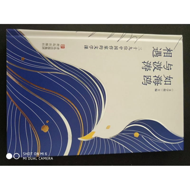 音像如海鸥与波涛相遇文学报主编