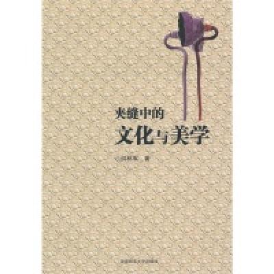 正版新书]夹缝中的文化与美学何林军9787564807184