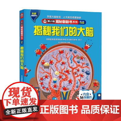 熊小猫揭秘翻翻书系列 揭秘我们的大脑 4-10岁 熊小猫童书馆 著 提高孩子的综合素质 培养文化自信 满足课外阅读