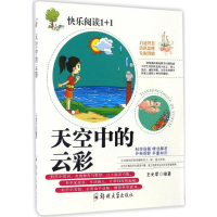 音像天空中的云彩王光军 编著