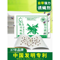 [补贴10%]20片 粘蝇纸胶苍蝇贴强力粘蝇板沾蚊杀手灭蝇子捕捉神器家用一扫光