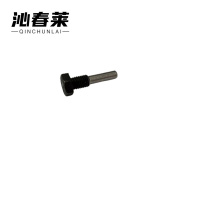 沁春莱 异形螺丝10*35 个