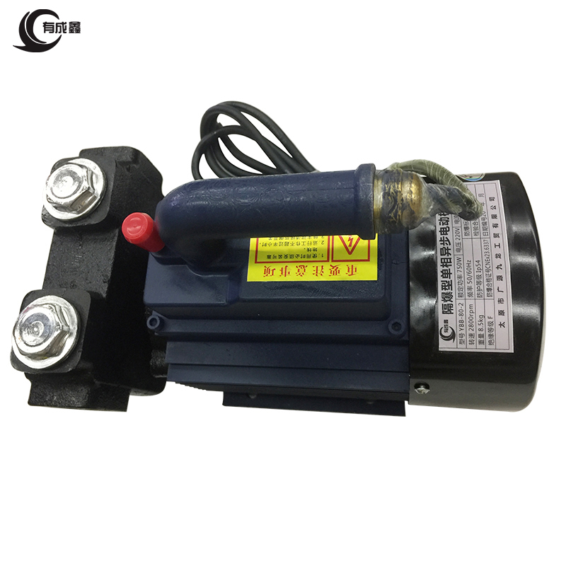 有成鑫 防爆型电动油泵 220V/台