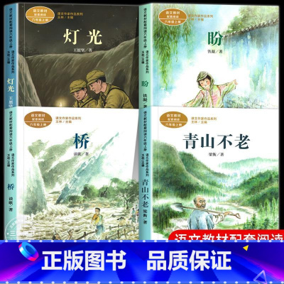 [全4册]6年级上册配套阅读 [正版]青山不老 桥 盼 灯光书籍六年级上册同步阅读人民教育出版社