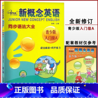 [入门级 B ]同步语法练习 小学通用 [正版]子金传媒新概念英语青少版同步练全入门级A+B测试卷阶段巩固练习册1A