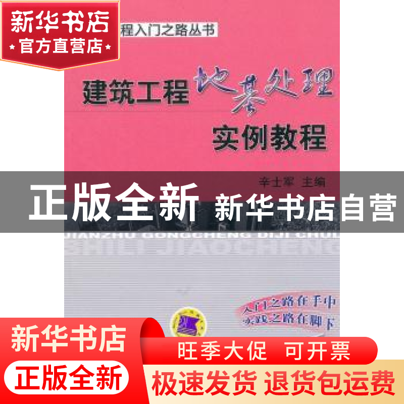 正版 建筑工程地基处理实例教程 辛士军主编 机械工业出版社