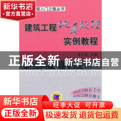 正版 建筑工程地基处理实例教程 辛士军主编 机械工业出版社