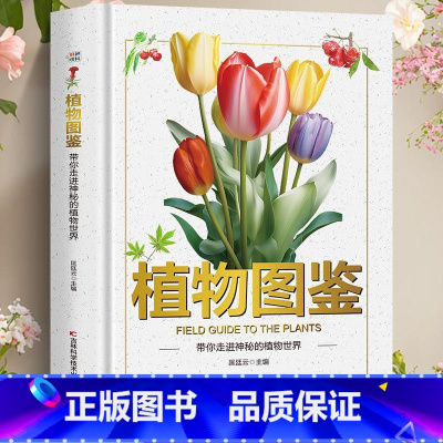[单本]植物图鉴 [正版]海洋图鉴带你畅游神奇的海洋世界精装硬壳儿童百科全书图鉴幼儿读物科学绘本故事6-12岁小学生科普