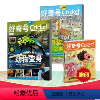 [正版]好奇号杂志 2022年7月上下+ 赠阅中英双语儿童读物 中文版美国Cricket Media期刊科学历史少儿科