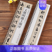 文征明滕王阁序 [正版]文徵明滕王阁序行书毛笔书法字帖经典碑帖书法临摹字卡简体旁注文征明成人学生临摹范本近距离临摹卡原大