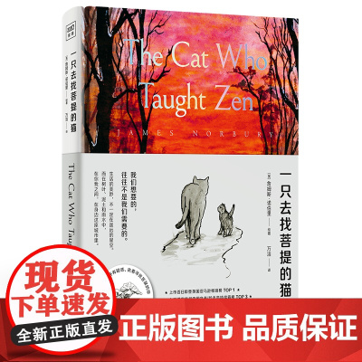 一只去找菩提的猫 詹姆斯·诺伯里 著 一本从9岁读到99岁的哲理之书 传统禅宗对话哲理故事 寻找人生的意义焦躁 哲学读物
