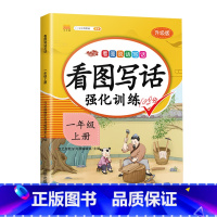 看图写话强化训练(上册) 小学二年级 [正版]斗半匠五感法看图写话写作文一年级二年级上册下册写作技巧方法好词好句好段素材