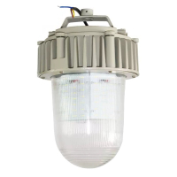 虎光风行 LED 防爆工作灯 FL-BTC6155-01 银白