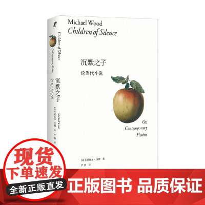 沉默之子 论当代小说 迈克尔·伍德 著 文学理论