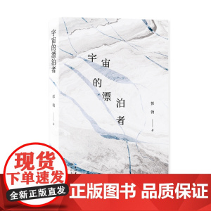 宇宙的漂泊者