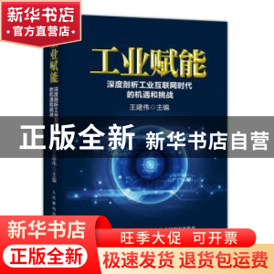 正版 工业赋能:深度剖析工业互联网时代的机遇和挑战 王建伟 人民