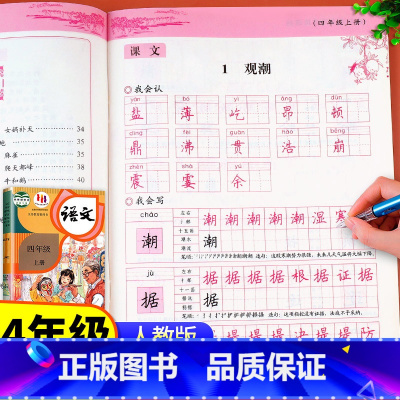 同步练字帖 四年级下 [正版]老师四年级上册同步字帖练字帖人教版4年级上学期生字抄写本语文写字课课练每日一练