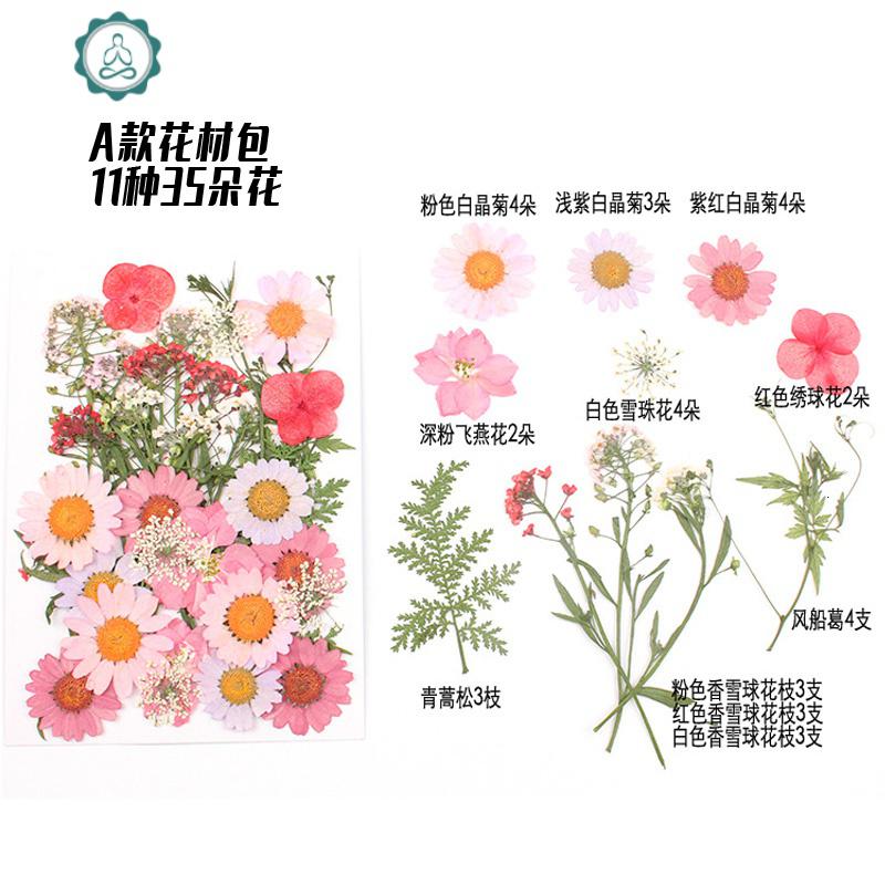 押花材料包 儿童手工植物标本 影楼写真 封后 花材会小有变动,介意哦