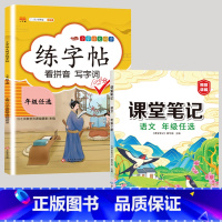 练字帖+语文课堂笔记 六年级上 [正版]六年级下册字帖练字同步人教版语文练字帖小学生6年级拼音笔画笔顺偏旁部首临摹钢笔田