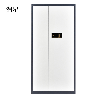 渭星办公文件柜国宝锁指纹保密柜电子密码锁财务档案柜保险柜资料柜铁