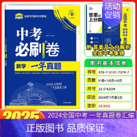 [一年真题]数学 [正版]2025中考必刷题数学英语九年级必刷中考真题分类语文物理化学初中必刷题初三中考总复习资料初三中