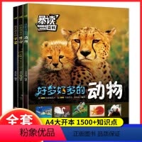 (套装3本)动物+昆虫 +宇宙[99%家长选择] [正版]暴读百科全套3册小学生科普课外阅读书昆虫动物宇宙儿童趣味百科知