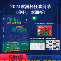 [正版] 你好 欧洲杯 王正坤著 创新型预测性欧洲杯前瞻 互动参与:预测体验,极强参与感的欧洲杯图书世界杯C罗