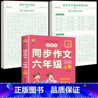 [6年级上册]同步作文+同步作文字帖+素材积累字帖 [正版]六年级上册同步作文练字帖人教版2024年满分作文语文同步素材