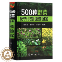 [醉染正版]500种野菜野外识别速查图鉴 生活百科书籍 野生植物花草识别图解书籍 认识身边常见植物随身掌中宝图书籍