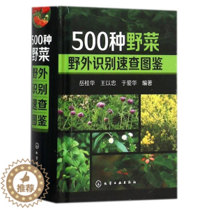 [醉染正版]500种野菜野外识别速查图鉴 生活百科书籍 野生植物花草识别图解书籍 认识身边常见植物随身掌中宝图书籍