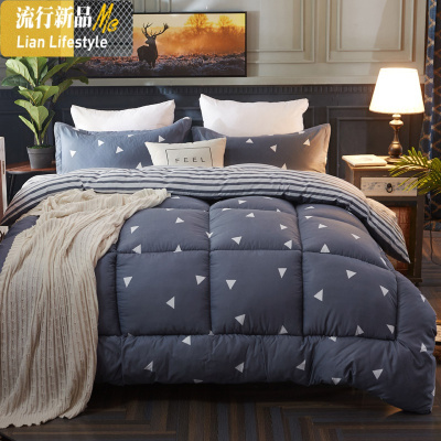 被子冬被芯加厚保暖双人单人学生宿舍空调被春秋冬季棉被太空被 三维工匠