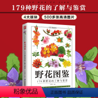 [正版]野花图鉴野花的基本知识从生活形态植物形态别名图片展示详细介绍野花的外形及特点从根本上认识野花自然科普图鉴百科书