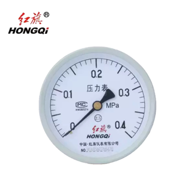 红旗 定制检测款轴向压力表 Y60Z 压力值请备注 块