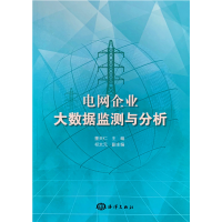 音像电网企业大数据监测与分析国网青海省电力公司