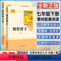 骆驼祥子+海底两万里 [正版]名著阅读课程化丛书初一1七7年级下册共2册海底两万里骆驼祥子人民教育出版社人教统编版语文同