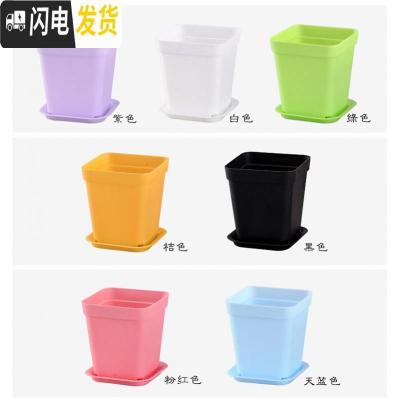 三维工匠小黑方小方大黑方大彩方多肉植物塑料花盆叶插育苗配搭托盘 7cm混色80个 盆+底托花盆容器