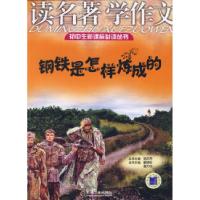 正版新书]读名著学作文钢铁是怎样炼成的雷明初 谢大中 本书9787